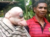 Heboh Anak Babi Terlahir Bermata Satu-Mirip Manusia di NTT