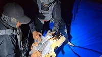 Penangkapan ini merupakan hasil operasi gabungan antara Tim Satgas Bakamla RI dan Tim Satgas Cendana BAIS TNI, yang menindaklanjuti laporan masyarakat mengenai maraknya peredaran rokok ilegal di wilayah Kepulauan Riau.