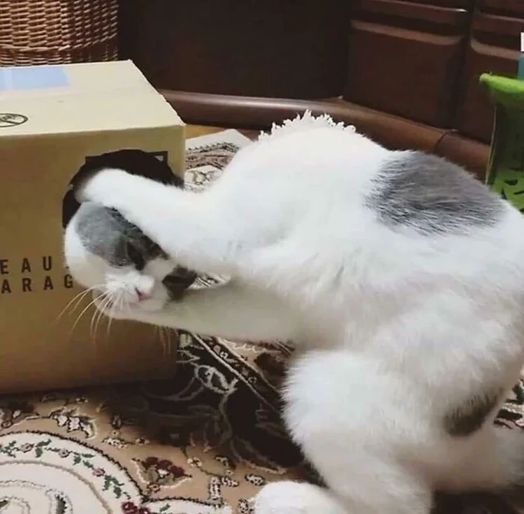 Foto Mengecoh Mata