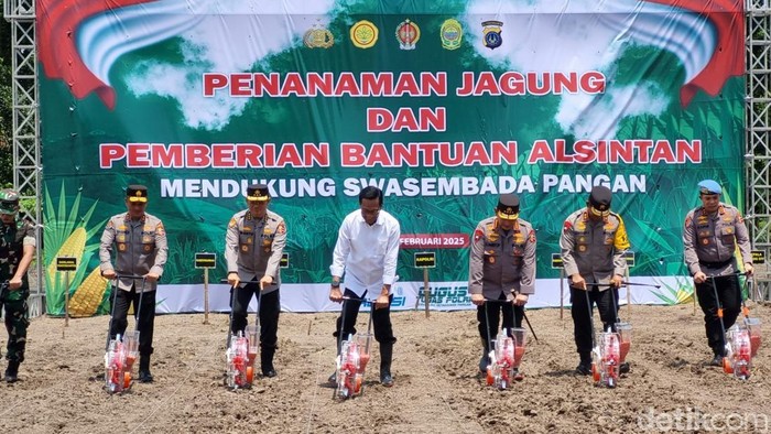 Kapolri Jenderal Listyo Sigit Prabowo menanam jagung di Klaras, Bantul, Sabtu (15/2/2025).