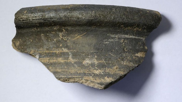 Komplek Rumah Pertanian Berusia 700 Tahun Ditemukan di Jerman 13 February 2025, Saxony-Anhalt, Wettin-LΓΆbejΓΌn: A pottery shard lies on a table at the excavation site of a farmstead near Nauendorf Archaeologists have discovered a farmstead here that is around 700 years old. The layout of the complex is still very well preserved. The building complex includes two towers, a manorial hall and various furnaces. The farmstead from the 13th century is based on a Slavic settlement with farm buildings and an associated burial ground. A total of 20 graves were recorded. There are always archaeological surprises on the site of the future SuedOstLink power line in Saxony-Anhalt. Photo: Hendrik Schmidt/dpa (Photo by Hendrik Schmidt/picture alliance via Getty Images)