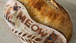 Cantik! 10 Kreasi Sourdough dengan Motif Bagai Lukisan