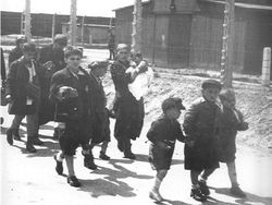 Kumpulan Foto yang Terlihat Biasa Saja tapi Menyimpan Hal Kelam