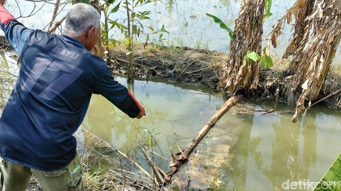 Limbah pengeboran Pertamina EP Sukowati Bojonegoro cemari lingkungan