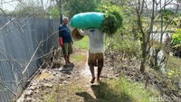 Pantauan detikJatim di kali irigasi yang bersebelahan dengan pagar Pad B Pengeboran Minyak Sukowati menunjukkan adanya limbah minyak yang mengambang di air.