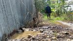 Irigasi Sawah Diduga Tercemar Limbah Pengeboran EP Sukowati Bojonegoro