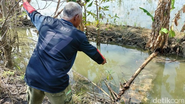 Irigasi Sawah Diduga Tercemar Limbah Pengeboran EP Sukowati Bojonegoro