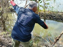 Irigasi Sawah Diduga Tercemar Limbah Pengeboran EP Sukowati Bojonegoro