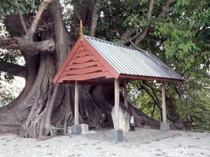 Kisah Raja Suku Mandar yang Dimakamkan Satu Liang dengan 14 Dayang-dayang