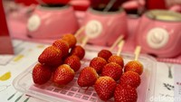 Festival bertajuk Nonsan Strawberry Festival tersebut berlangsung selama 4 hari, sejak 13 - 16 Februari 2024. Foto: detikcom/Riska Fitria