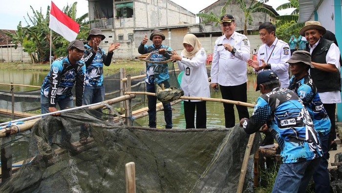 Pemkot Surabaya gandeng kelompok tani manfaatkan lahan bozem untuk pertanian dan perikanan