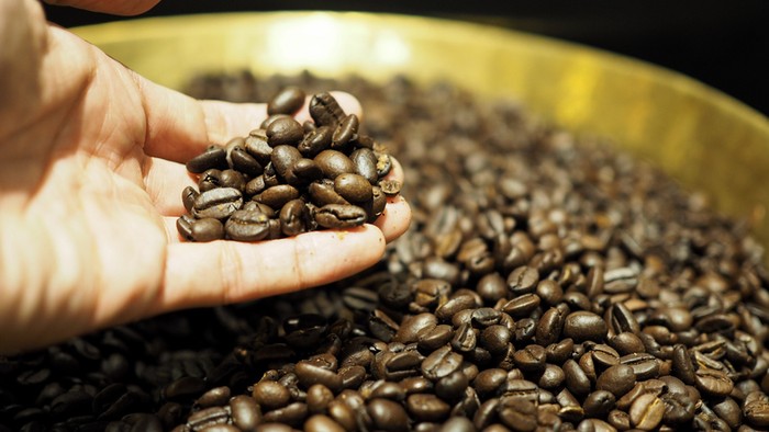 **Simpan Biji Kopi Lebih Lama dengan Teknik Beku yang Segar dan Praktis**