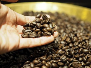 Lebih Sehat Biji Kopi Dark Roast atau Light Roast? Ini Jawabannya