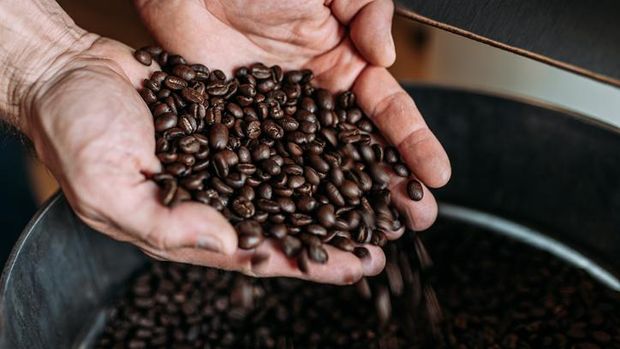 Biji kopi