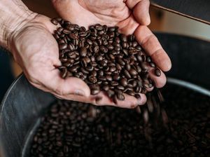 Top 5 Biji Kopi Terbaik Dunia Tahun 2026, Ada 2 dari Indonesia!