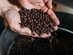 Top 5 Biji Kopi Terbaik Dunia Tahun 2026, Ada 2 dari Indonesia!