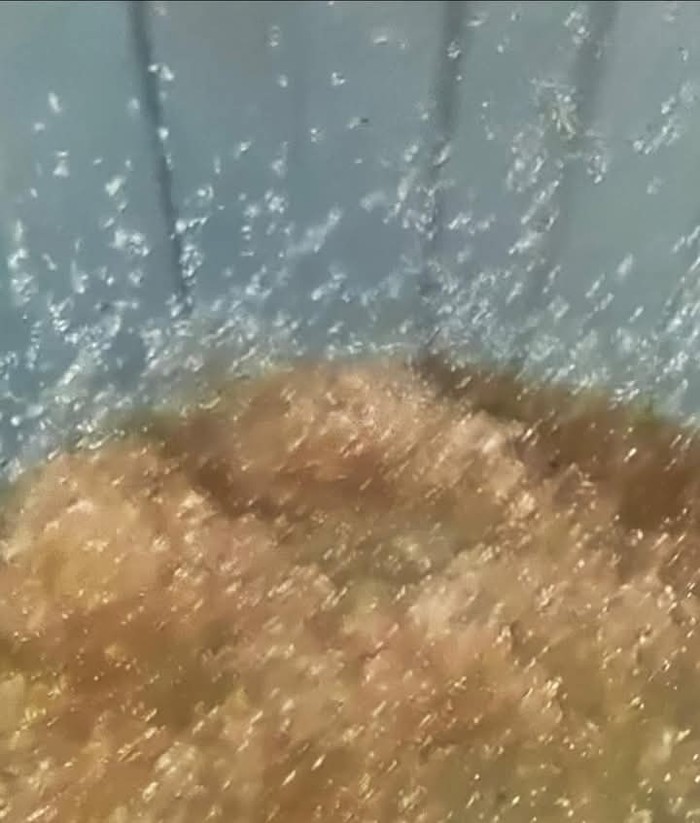 Warga di Kabupaten Gorontalo Utara, Provinsi Gorontalo, dibuat heboh dengan fenomena hujan jelly.
