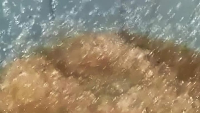 Warga di Kabupaten Gorontalo Utara, Provinsi Gorontalo, dibuat heboh dengan fenomena hujan jelly.