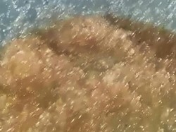 Video BMKG soal Hujan Jeli di Gorontalo: Perlu Dikaji-Diteliti Lebih Jauh