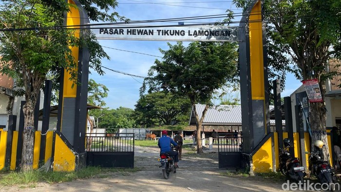 Pasar Hewan di Lamngan Kembali Dibuka