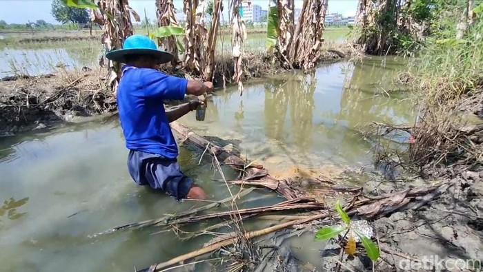 Petugas reskrim ambil sampel air kali yg bercampur limbah.