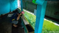 Mbah Raden Ujud Beji meminta kepada Allah dengan cara berzikir agar didatangkan sumber mata air, ia lalu membuat tujuh titik tanda yang memutari kampung Keramat Beji. Doanya pun dikabulkan, ketujuh sumur tersebut mengeluarkan sumber mata air yang hingga kini dikenal dengan nama tujuh sumur. 