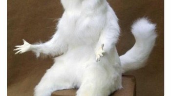 Buru-buru nonton episode selanjutnya (kalau ada, atau nunggu season selanjutnya?). Foto: Netflix Memes via Bored Panda