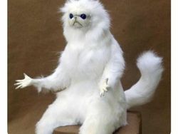 15 Meme Kocak soal Netflix, Ada yang Nanya Kenapa Vampir Selalu Kaya