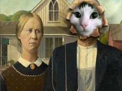 Begini Jadinya Jika Si Kucing Dipadukan Dengan Tubuh Hewan Lain