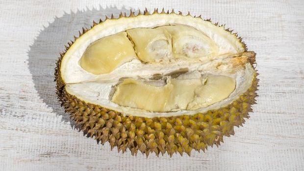 Durian seeds