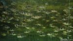 Mantap! Ikan Hasil Budi Daya di Bekasi Ini Tembus Pasar Luar Negeri