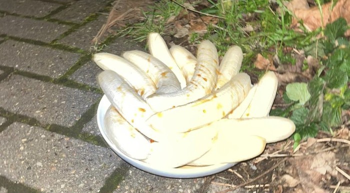 Misterius! Piring Isi Tumpukan Pisang Kupas Selalu Muncul di Jalan Ini