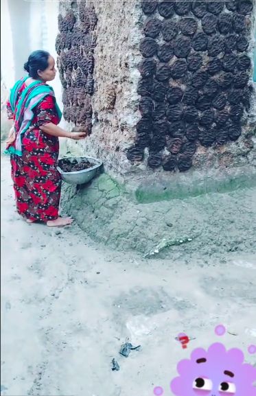 Orang Bangladesh Masak Gunakan Kotoran Sapi untuk Pengganti Kayu Bakar