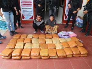 Polisi Gagalkan Pengiriman 74 Kg Ganja ke Jakarta, 2 Kurir Ditangkap