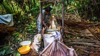 Hutan bukan sekadar ruang sunyi, tetapi dapur yang tak pernah kehabisan bahan. Di pagi hari mereka ke hutan untuk memetik sayur, menangkap ikan, dan mengambil obat-obatan yang tumbuh liar tapi penuh makna.