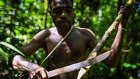 Di antara batang sagu yang menjulang, mereka menemukan kehidupan yang sederhana tapi cukup. Sagu merupakan pohon serba guna, dari akar hingga daunnya adalah simbol keberlanjutan bagi Suku Tehit. Jika sagu punah, maka mereka kehilangan nafas terakhirnya.