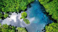 Di balik deru modernitas yang memotong akar-akar tua, masyarakat adat menjaga jantung alam yang terus berdenyut untuk anak-cucu. Mereka adalah penjaga hutan, warisan nenek moyang yang lebih kuat dari pasal dan ayat. Hutan ini adalah rumah mereka, bukan sekadar bentangan pepohonan tapi nafas, kehidupan, dan janji yang tak pernah putus.