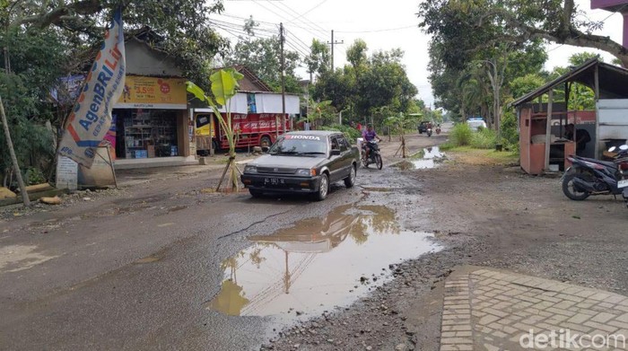 Warga Trenggalek Tanam Pohon Pisang di Jalan Kabupaten