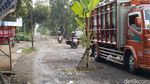 Warga Tanami Jalan yang Rusak dengan Pohon Pisang