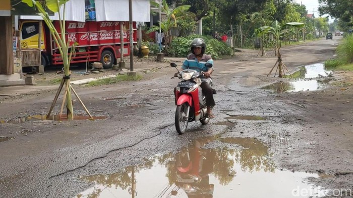Warga Trenggalek Tanam Pohon Pisang di Jalan Kabupaten