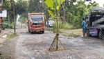 Warga Tanami Jalan yang Rusak dengan Pohon Pisang