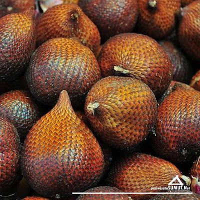 5 Buah Unik Khas Sumatera Utara, Durian Sidikalang hingga Nanas Sipahutar