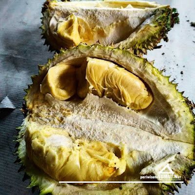 5 Buah Unik Khas Sumatera Utara, Durian Sidikalang hingga Nanas Sipahutar