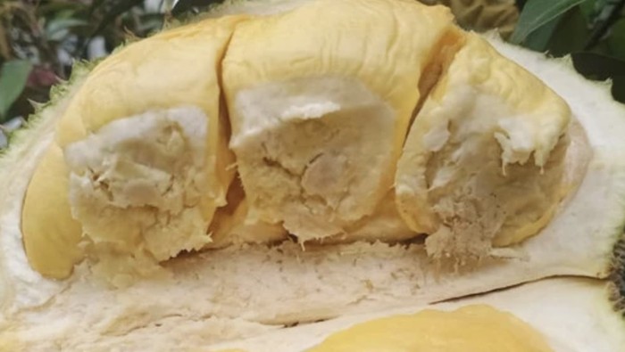 5 Buah Unik Khas Sumatera Utara, Durian Sidikalang hingga Nanas Sipahutar