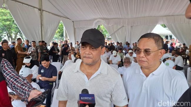 Ahmad Luthfi. (Brigitta Belia Permatasari/detikcom).