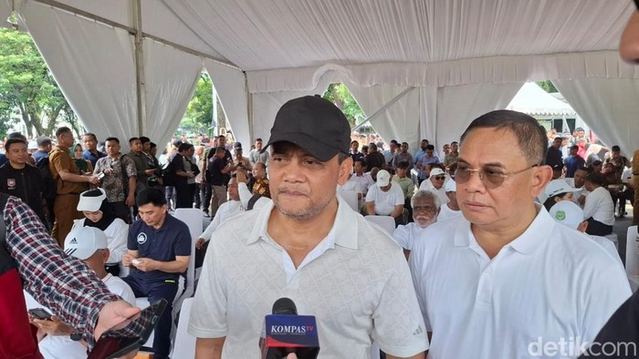 Ahmad Luthfi. (Brigitta Belia Permatasari/detikcom).