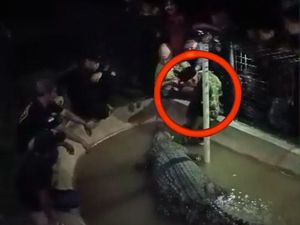 Warga Ngaku Buaya Anggota Keluarga Mereka, MUI Sulsel: Menyimpang dari Akidah!