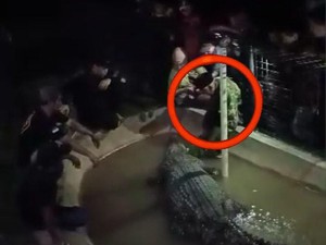Detik-detik Pawang Diterkam Buaya di Cimory Gowa hingga Tangan Patah Tulang