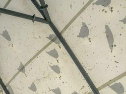 Bukan Photoshop, Kumpulan Potret Bayangan Bikin Mata Terkesima