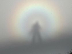 Bukan Photoshop, Kumpulan Potret Bayangan Bikin Mata Terkesima